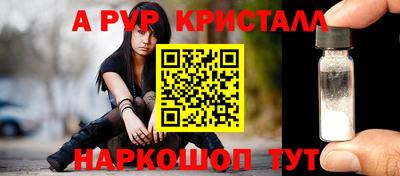 стаф Новодвинск