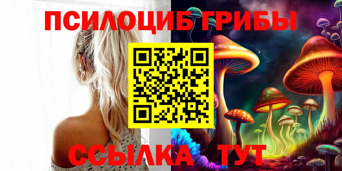 Пугачёв  Псилоцибиновые грибы Cubensis  Вход с VPN 